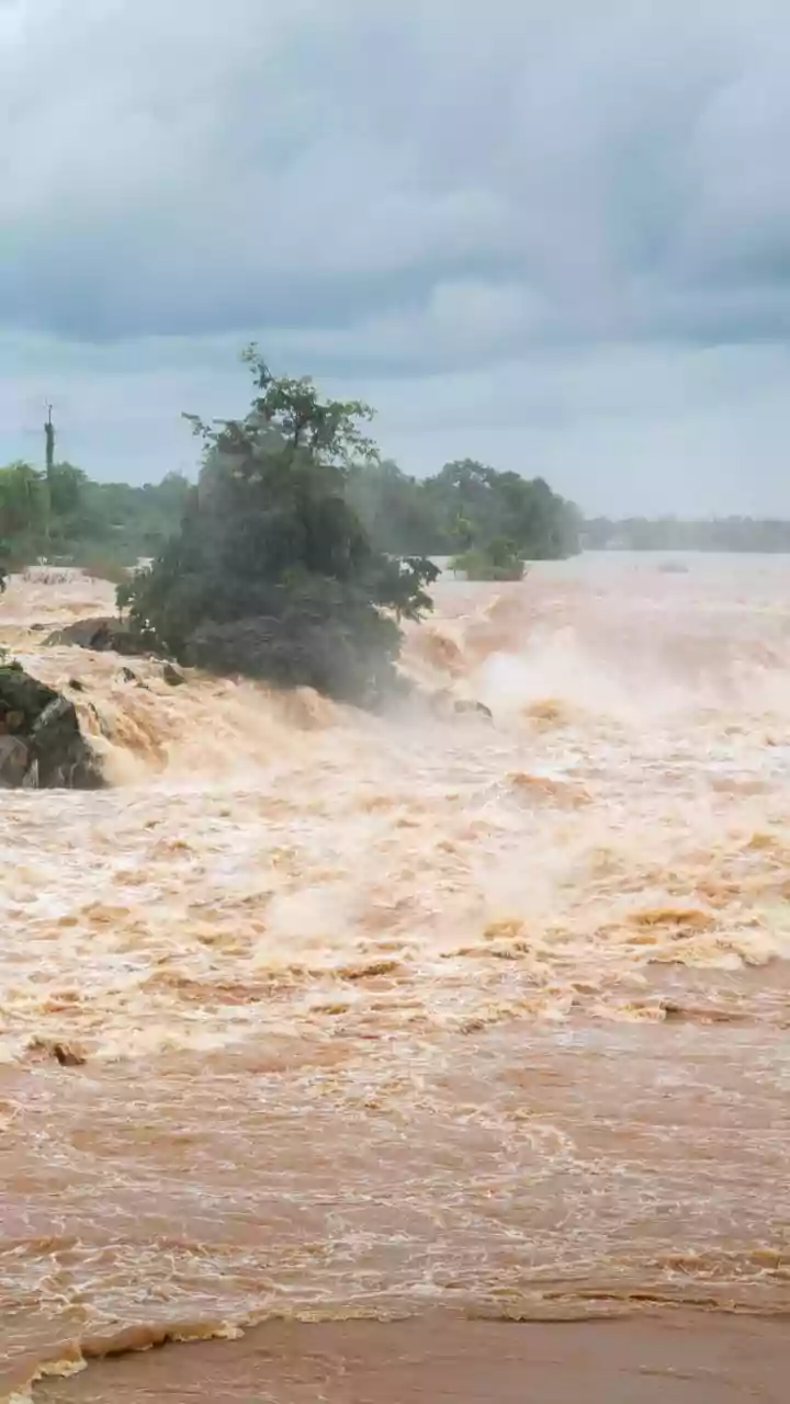 Floods impact 4.9 million people in Bihar as rivers continue to swell