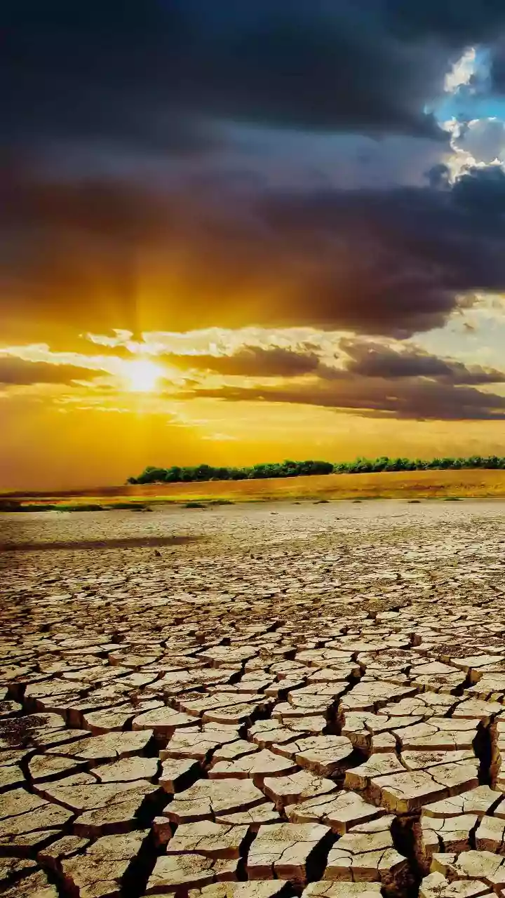 IMD's August-September Rainfall Outlook Gives Households and Travellers a New Reason to Review Local Reservoir Levels