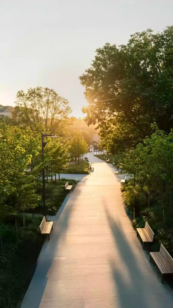 9 Simple Steps to a Happier You