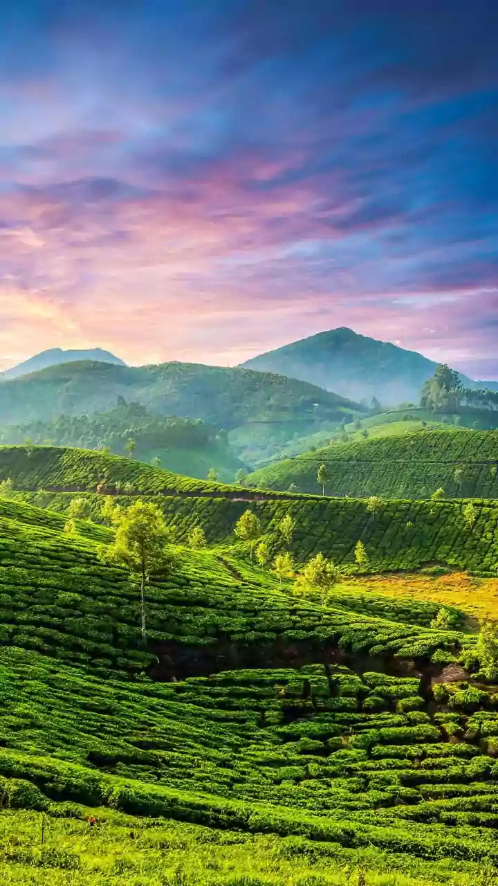 Top Destinations: Solo Travel Adventures in India