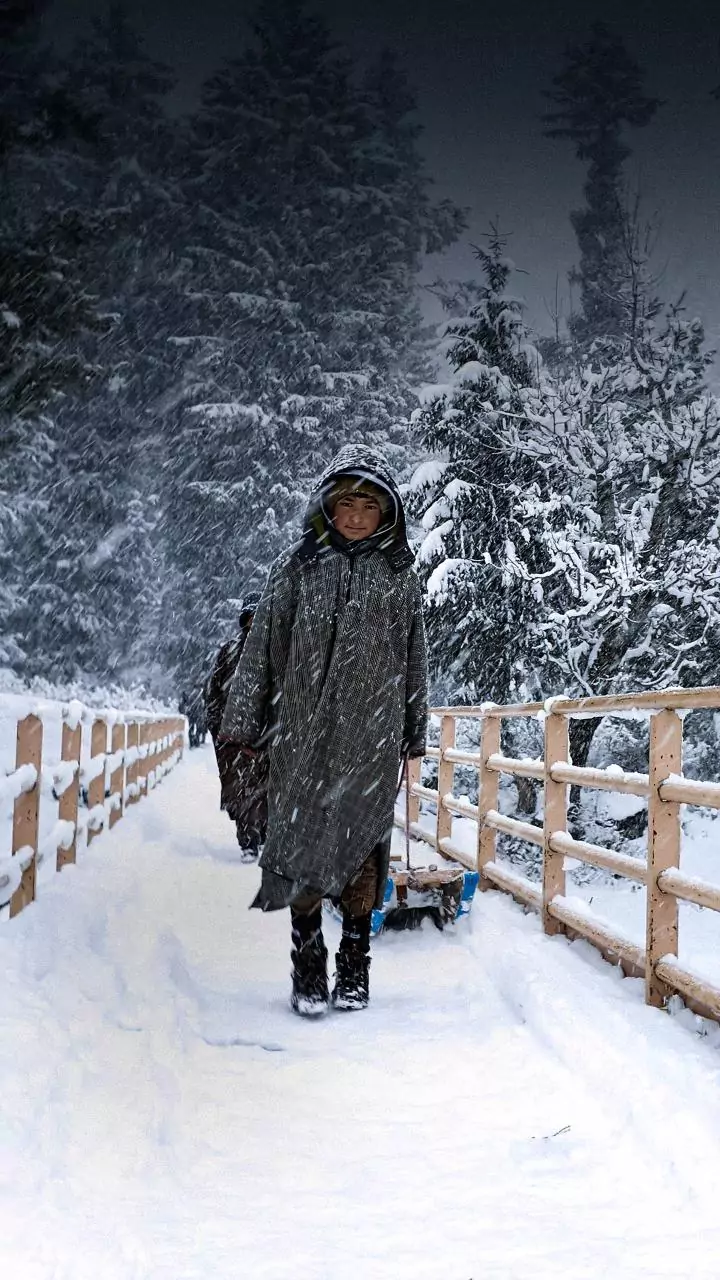 Kashmir sees rise in night temperatures; more snow, rain likely in next 12 hrs