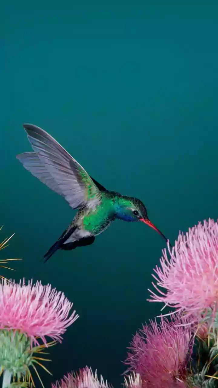 Does this self-care practice help boost your mood?