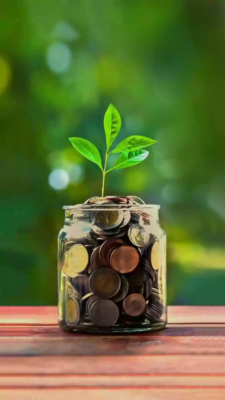 SBI Mutual Fund's ₹100 Cr Investment in Lenskart's Future