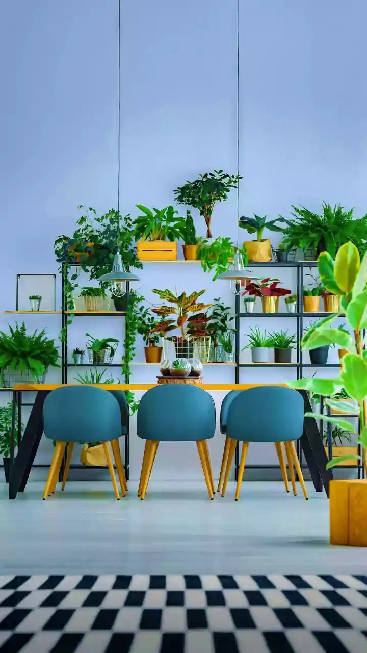The Design Lesson From The New Small-Space Gardening Trend: Using Vertical Space For Plants