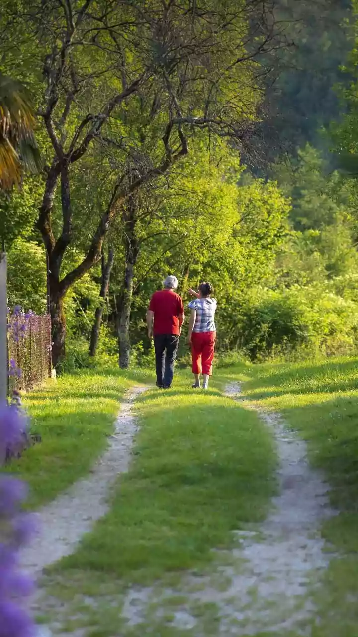 Timeless Wisdom: 10 Global Proverbs on Love and Relationships