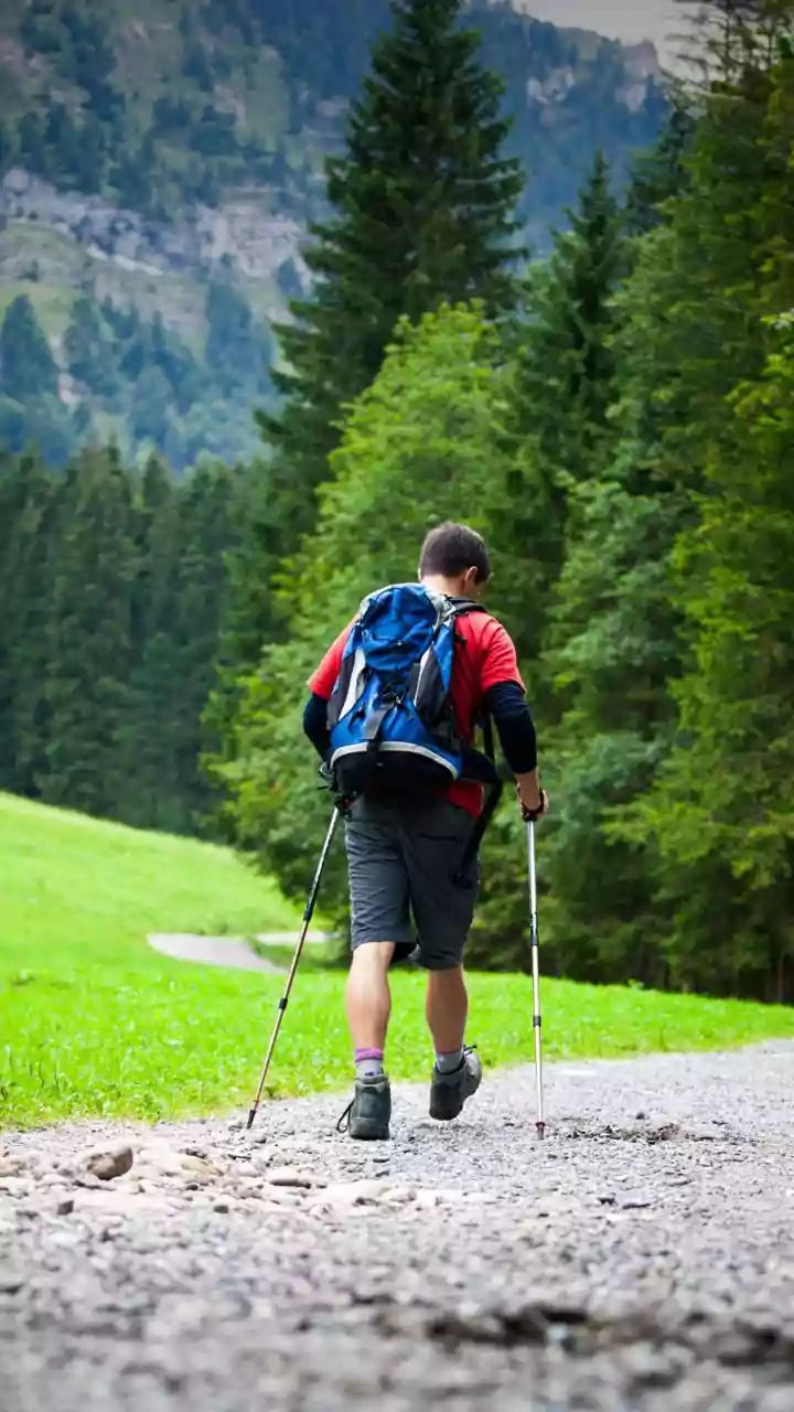 Western Ghats Monsoon Hiking Checklist: Must-Have Gear And Eco-Friendly Trail Rules