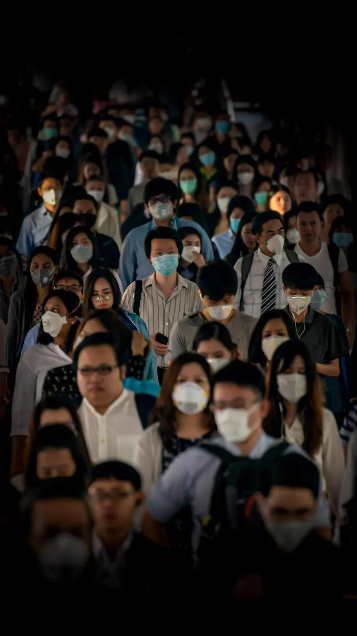 Kasus Nipah: Apa yang Perlu Diketahui?