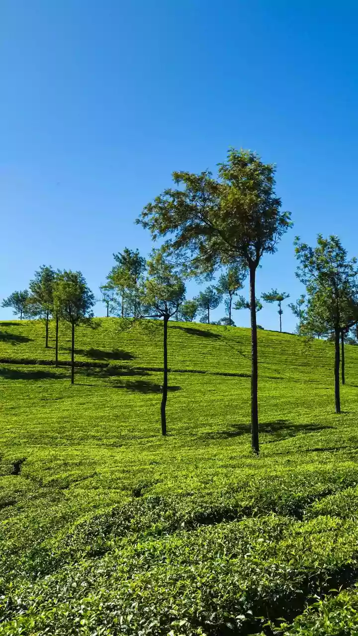 Green Landscapes Await Just Outside Bengaluru