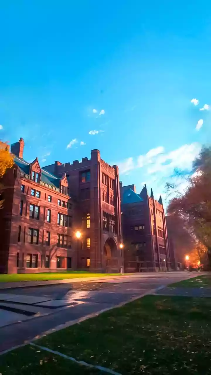 75% of Indian colleges aren't prepping grads for real jobs, says study