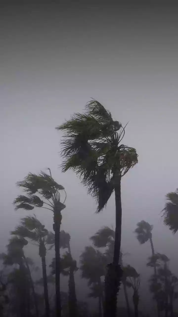 Severe Storms and Orange Alert Persist in Chandigarh Region
