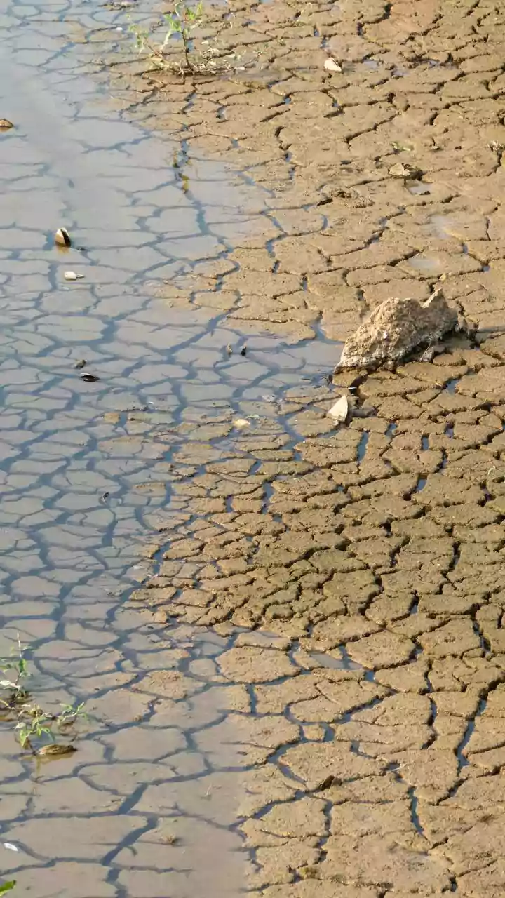 India Faces Driest Monsoon Since 2009 Due to El Niño