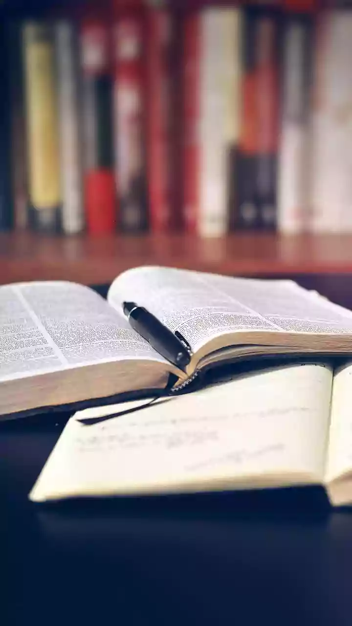 The Current Two Brain Origins Story Starts With One Fact: Stanford Research Finds Forebrain And Hindbrain Develop From Separate Progenitor Cells Wi...
