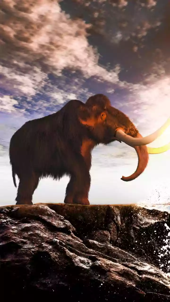 A 450-million-year-old Fossil Makes a Strong Case for Better Understanding of Reconstructing Ancient Animal Life
