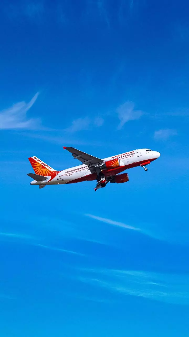 Air India's check-in system faces issues at Delhi, some other airports on Wed