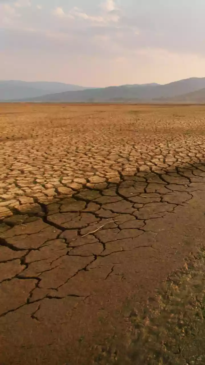 India's El Niño Monsoon Risk: The Meaning of Nearly 70% of Annual Rainfall