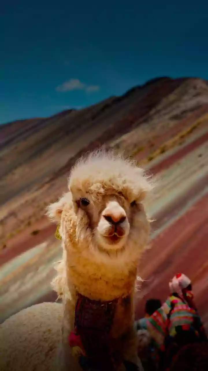 What Travellers Should Know About Planning Beyond The Main Tourist Circuit In Peru's Overrated Tourist Attractions