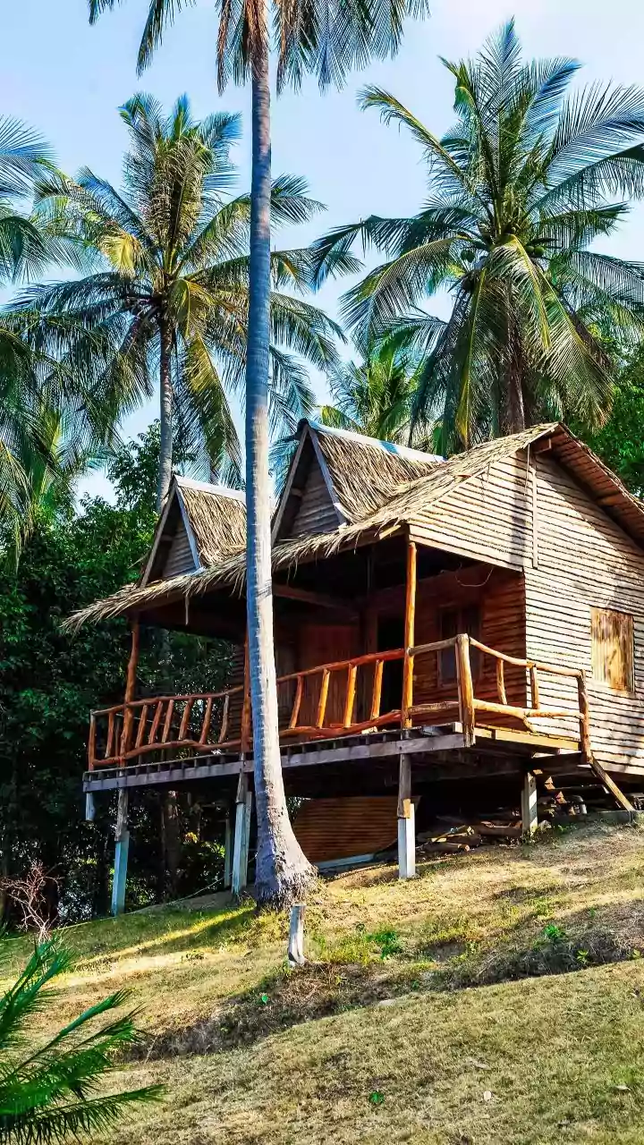 Bamboo Treehouses Offer Natural Sustainable Escapes In Eco Friendly Wayanad Resorts