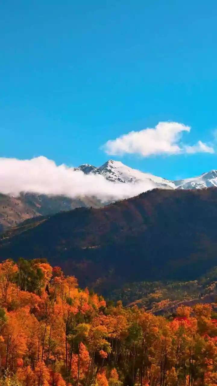 Why Naggar Co-Living Stays Are Perfect For Early Autumn Workations In Himachal
