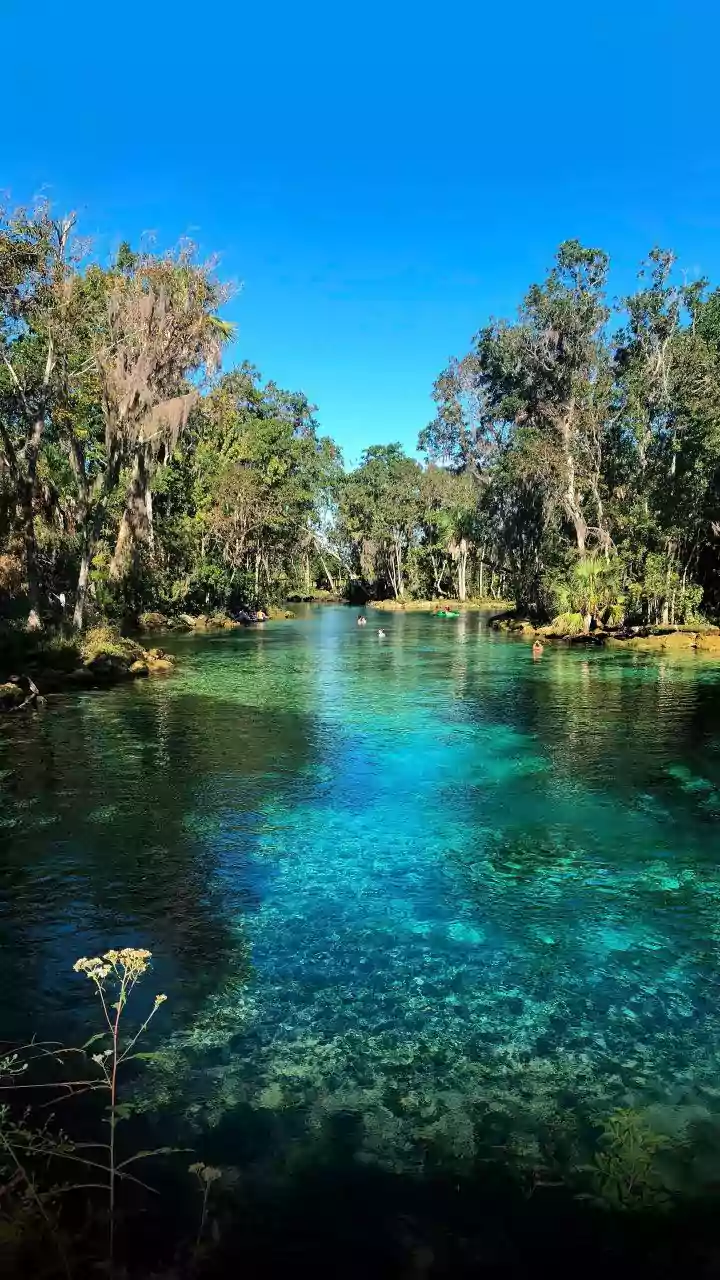 Discover Florida's Natural Treasures: A Guide to the State's Top 10 Parks