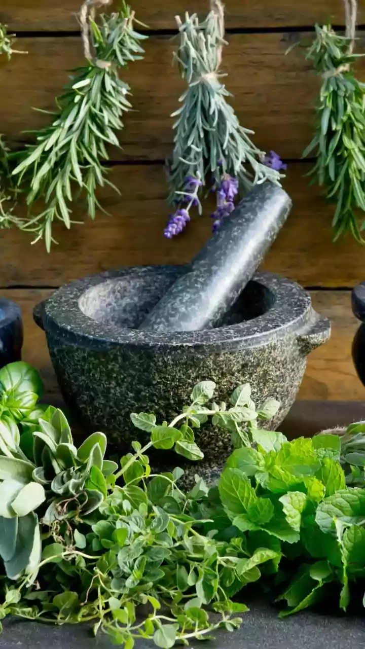 Ashwagandha vs Brahmi Comparison: Choosing Natural Adaptogens For Workplace Stress Relief Today