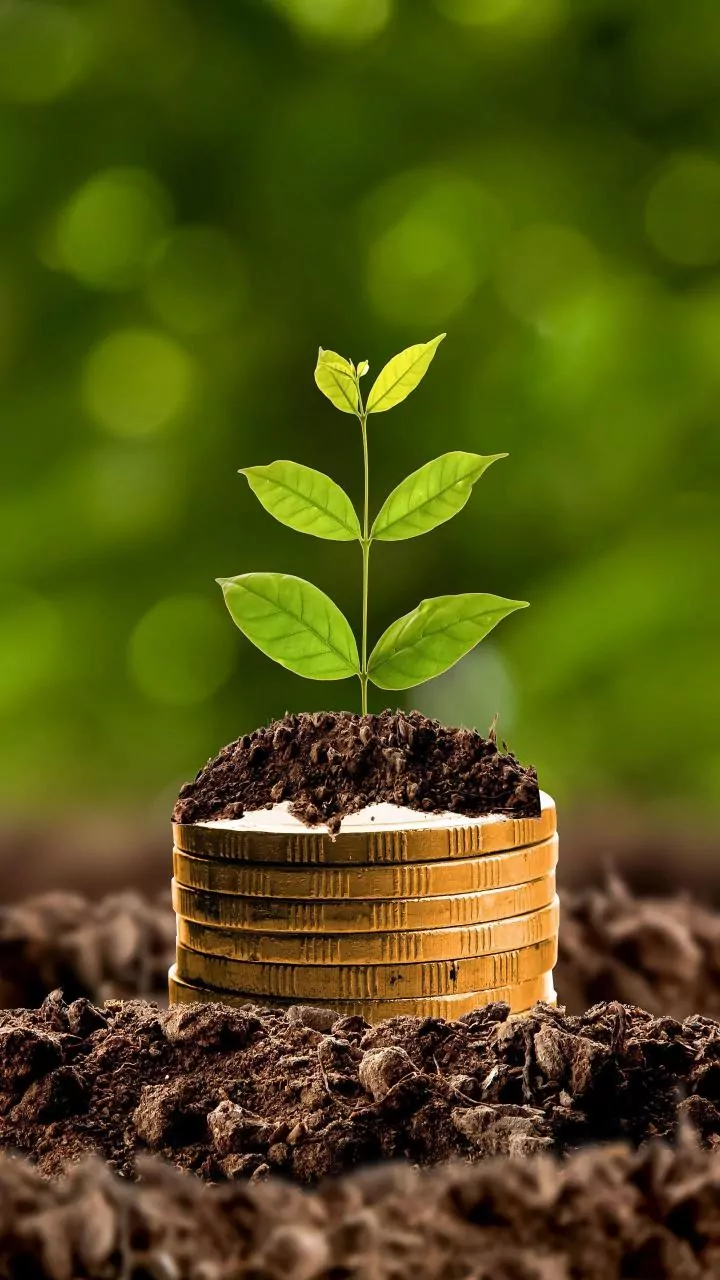 Groww Multicap Fund completes first year with returns above benchmark