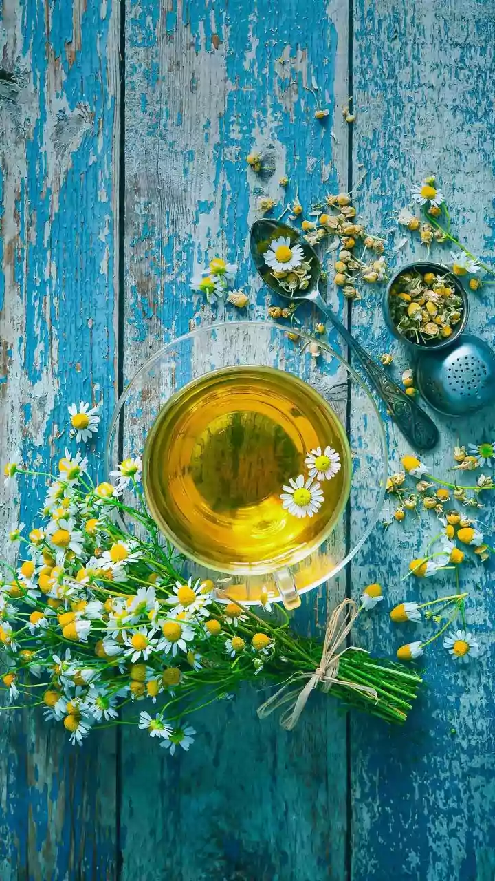 From Ginger Sips To Floral Brews: Herbal Infusions That Elevate Daily Water Habits