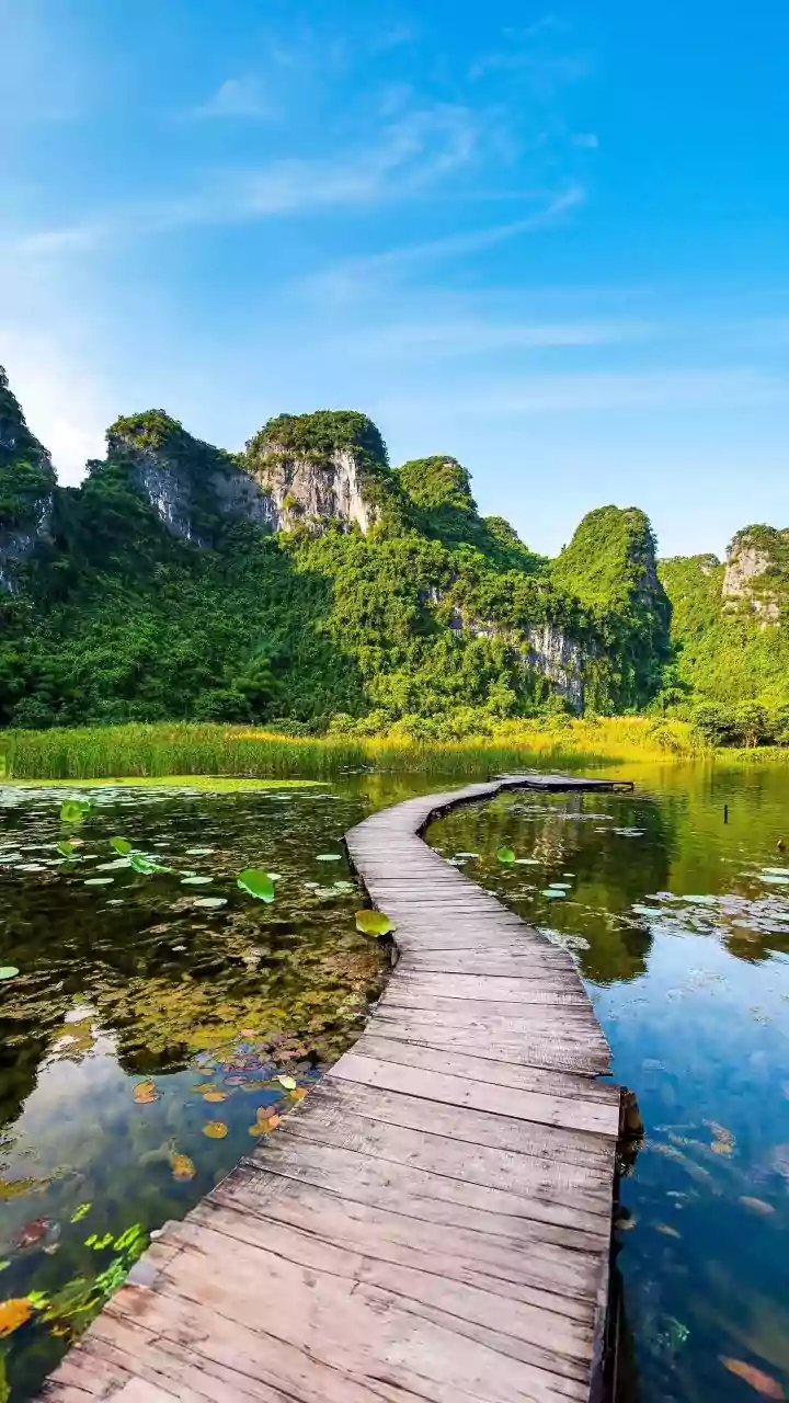 How To Enjoy A 7-Day Vietnam Holiday For Under ₹35,000 This Year