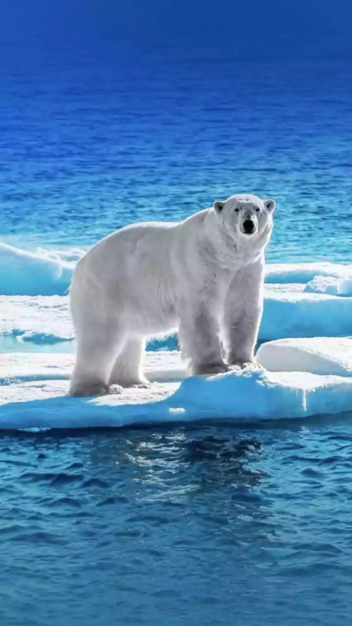 Monthly Global Temperatures Could Cross 2°C Above Preindustrial Levels Briefly