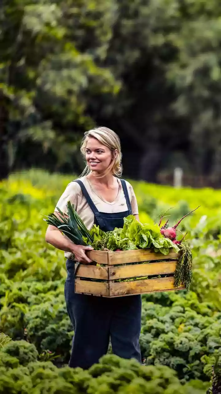Forest Ingredients Bring Wild Herbs, Leaves And Seasonal Produce Into Focus As Need Responsible Sourcing And Careful Identification
