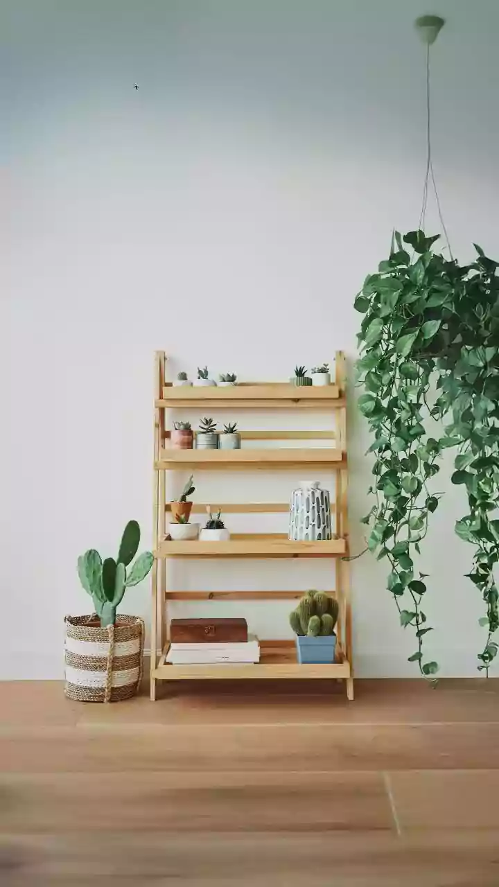 How Renters Create Functional Hanging Gardens Inside Small Apartments Using Modular Pegboard Wall Units