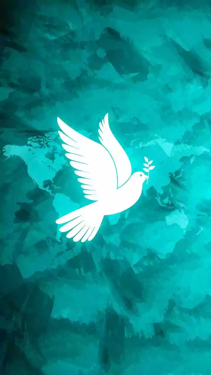 Trump Plans To Formalise Gaza Peace Board In Davos Signing Event