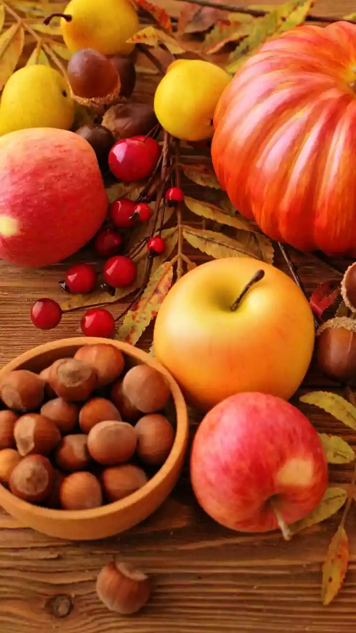 Weather Can Change Appetite Without Changing The Body's Basic Needs