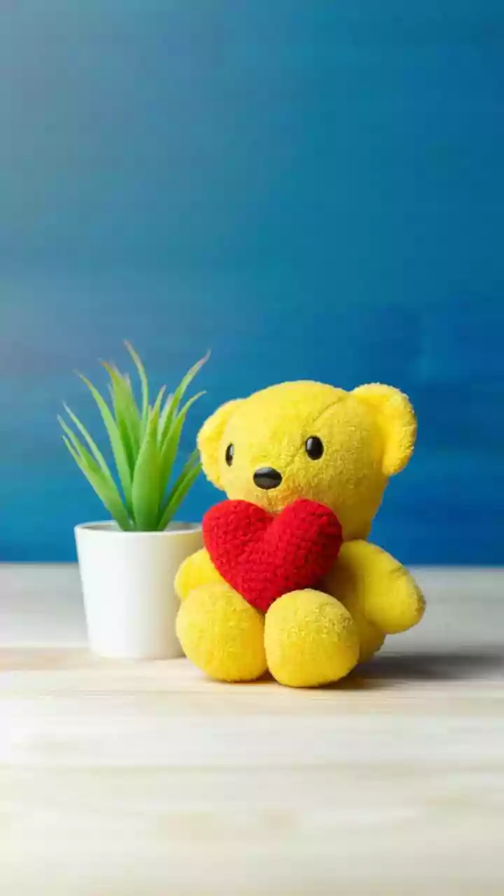 Valentine's Week: The ‘Custom Teddy’ Trend Is Wild: Names, Voice Notes, Inside Jokes - How Far Is Too Far in 2026?