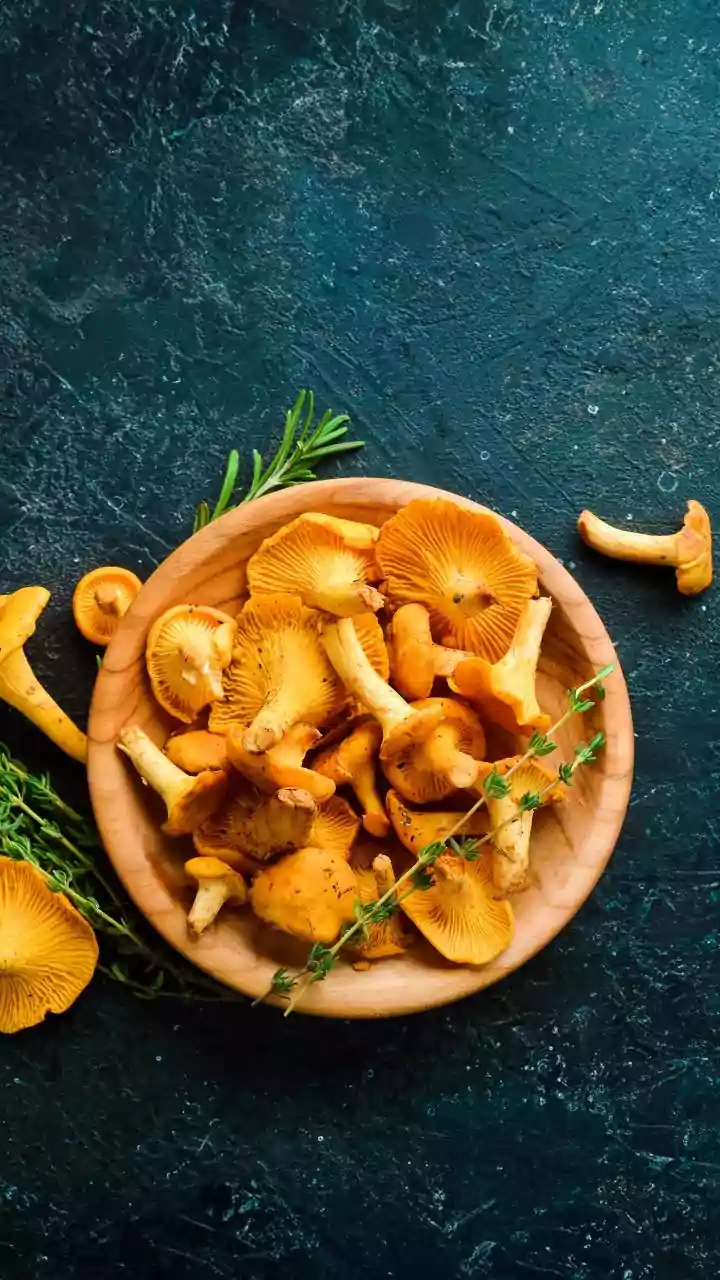 How Urban Mycology Micro-Factories Turn Organic Waste Into High-Value Crops