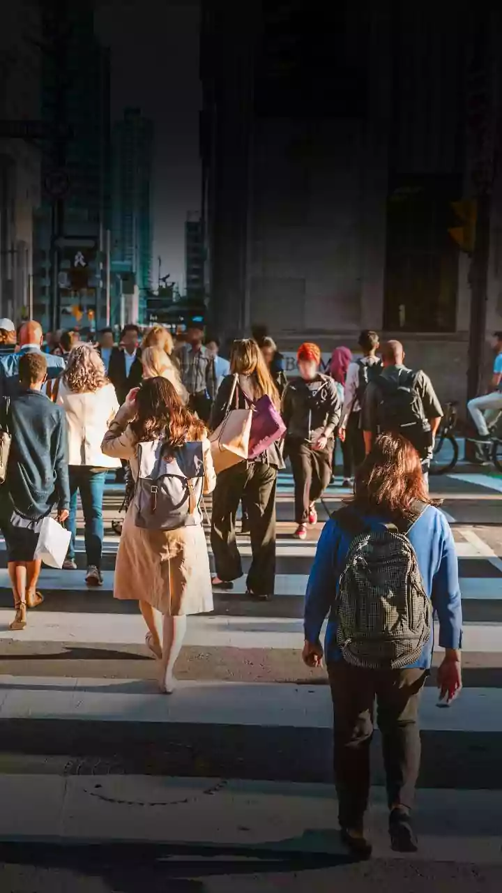 City Walks Are No Longer Human-Only Plans