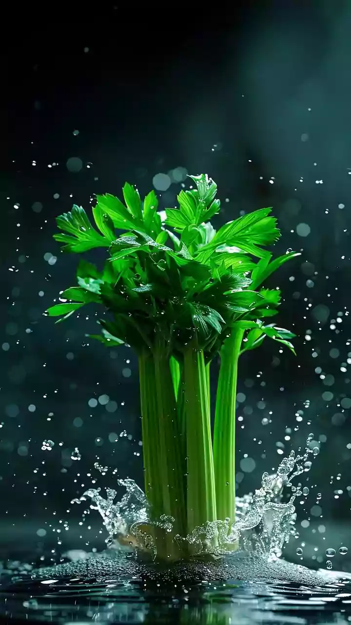 How To Avoid Overbuying Vegetables During The Rainy Season