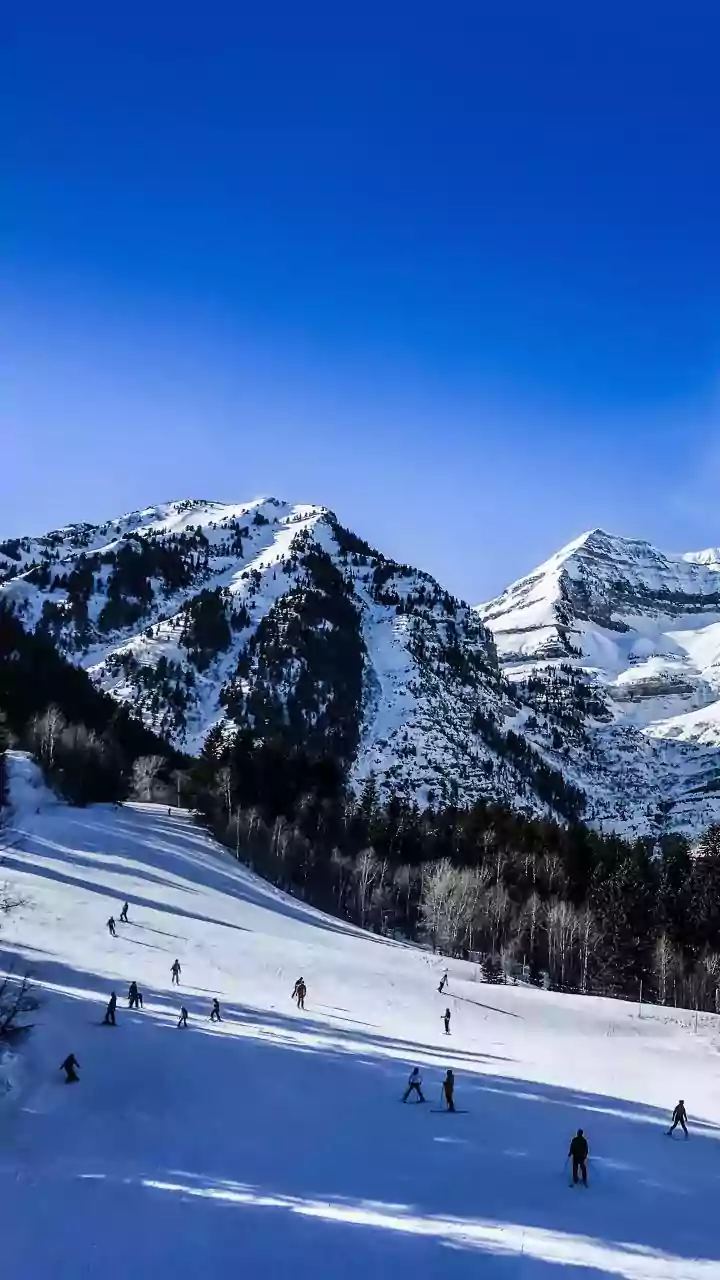 Skiing Adventures Await: Stories and Destinations