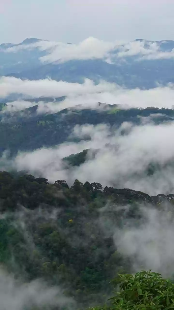 Coorg 20°C mist while Mangalore touches 33°C: 130 km cuts heat in half