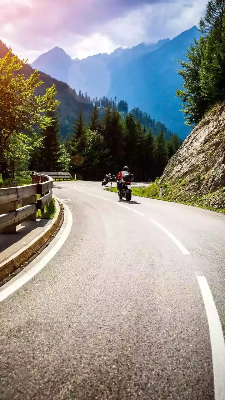 How To Drive From Bengaluru To Wayanad Through Scenic Early Winter National Forest Passes