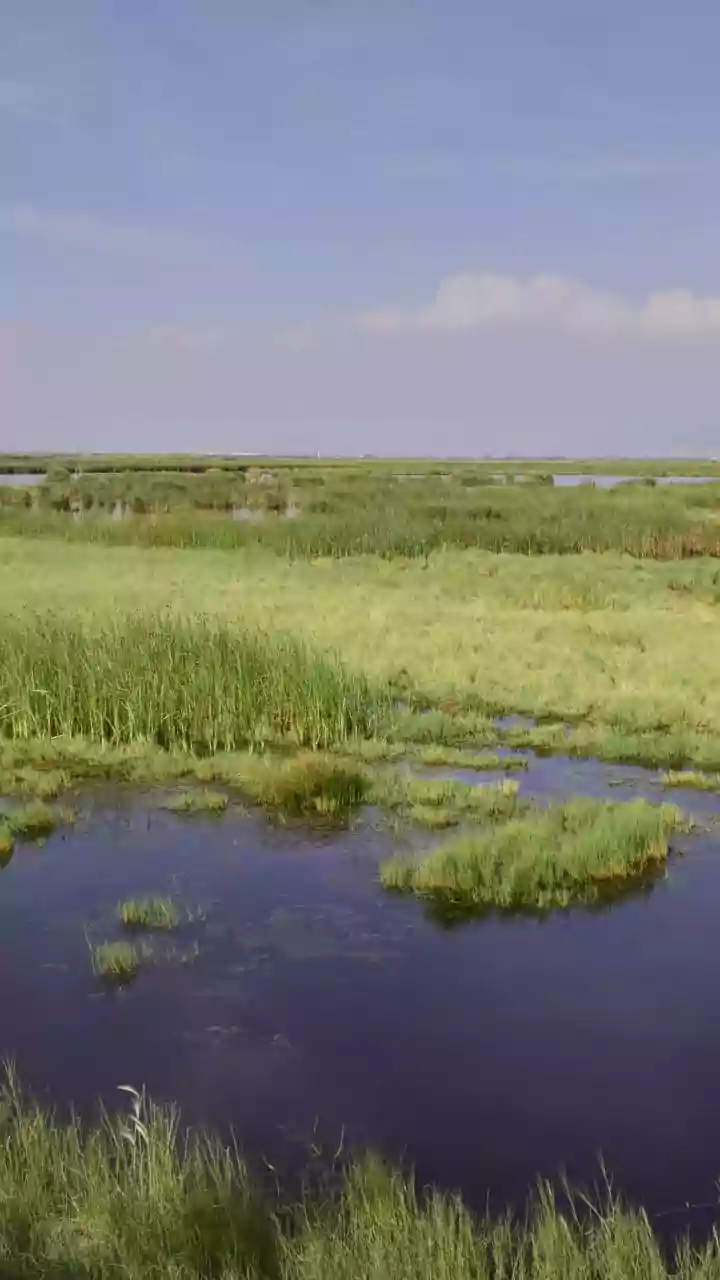 Maharashtra completes physical verification of 23,000 wetlands