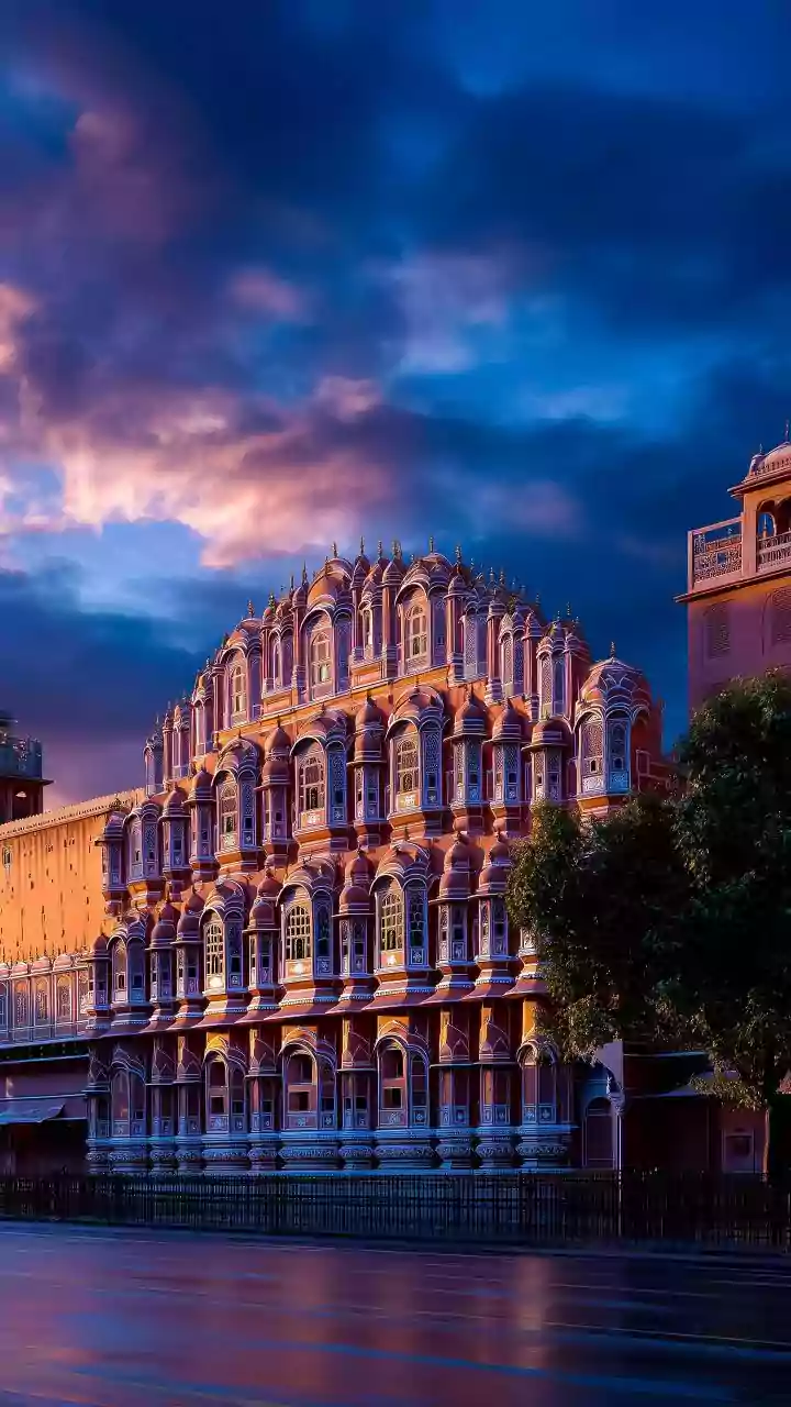 Jaipur's New Mega Pet Carnival Gives Pet Owners and City Planners a Reason to Review Adoption Services