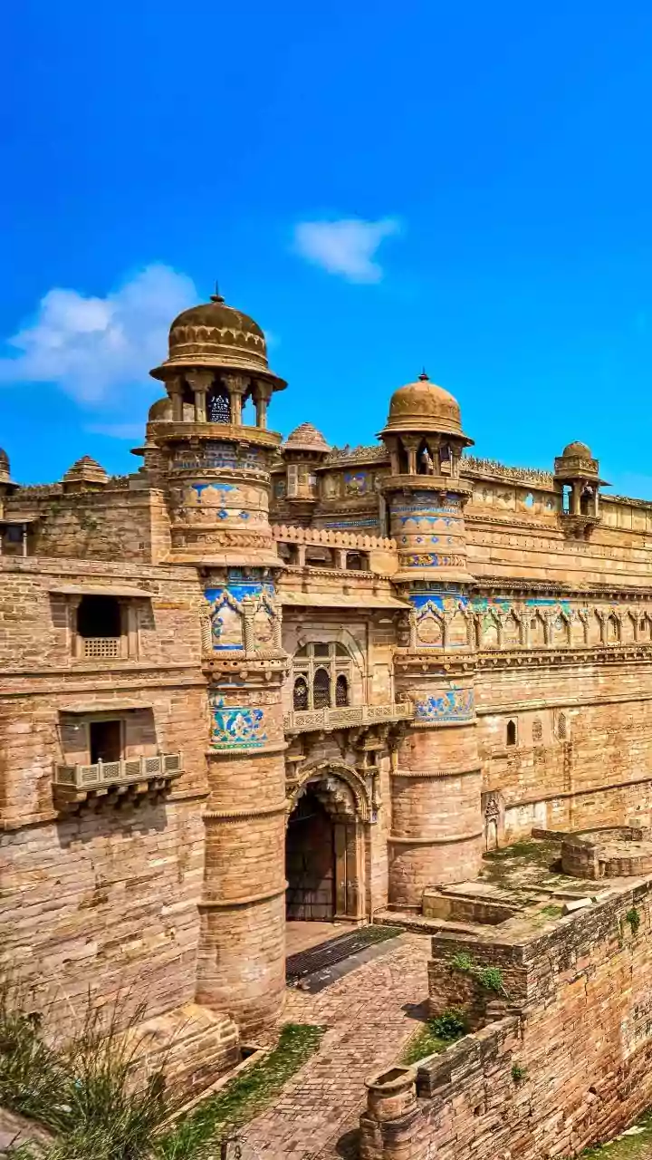 Indore News: Mayor Pushyamitra Bhargava Conducts Late-Night Inspection Of Ongoing Patchwork Across City