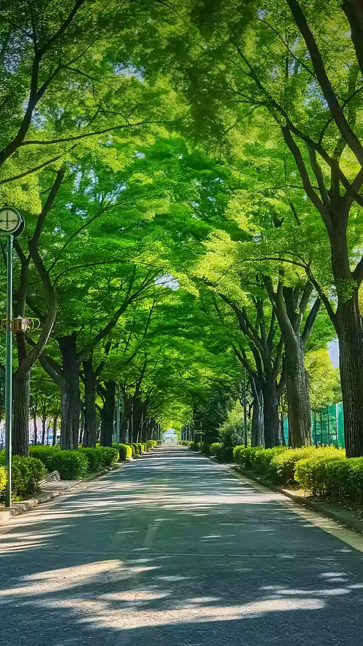 Better air in between — tap to step out at the right time.