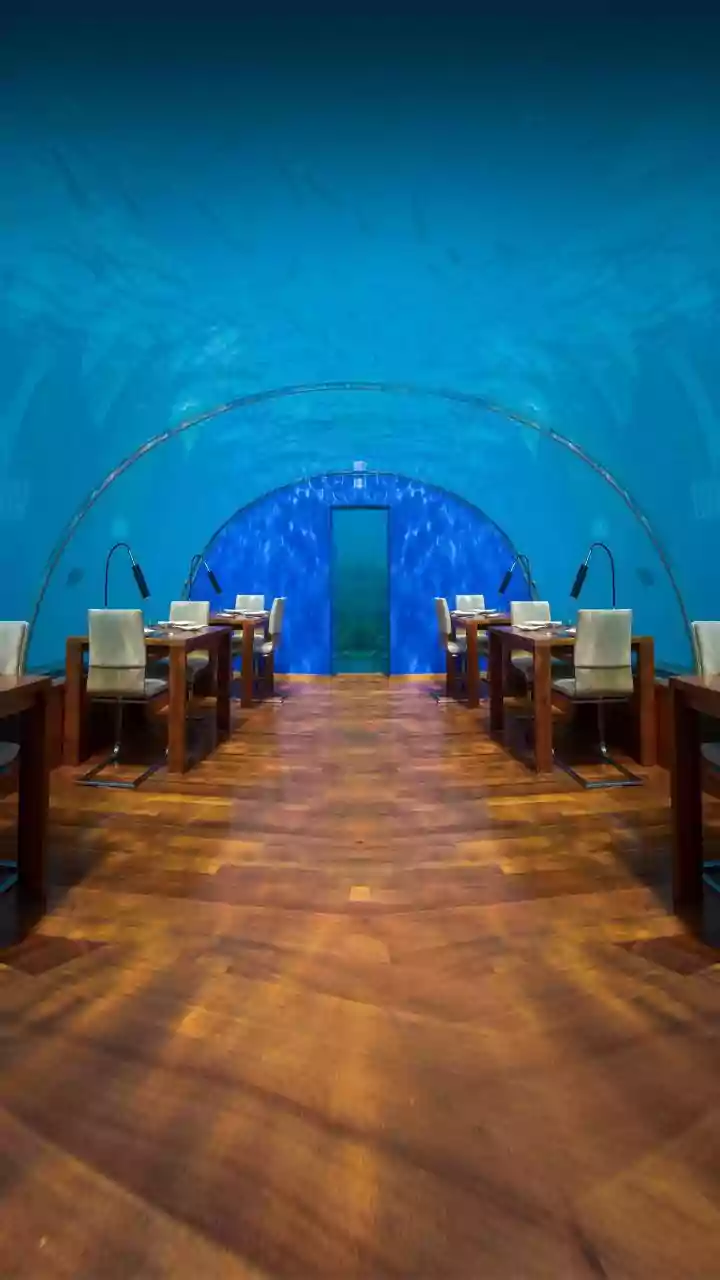 Dive In: The World's Most Extraordinary Underwater Hotel Experiences