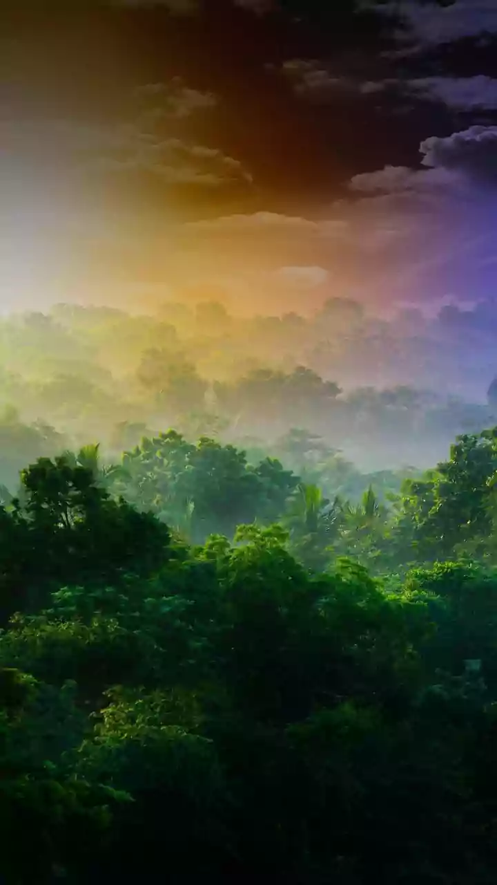 India's Monsoon Scenery Offers New Opportunities For Landscape Photographers