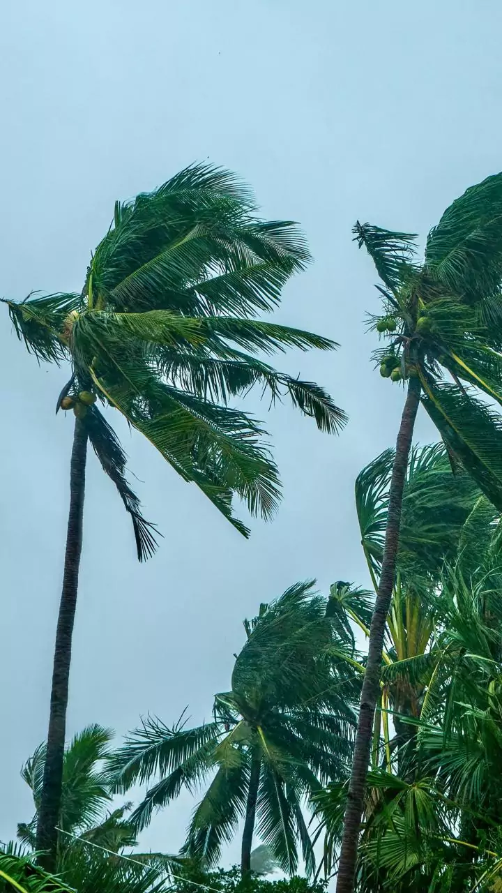 NDRF completes search, rescue operations in cyclone-hit Sri Lanka