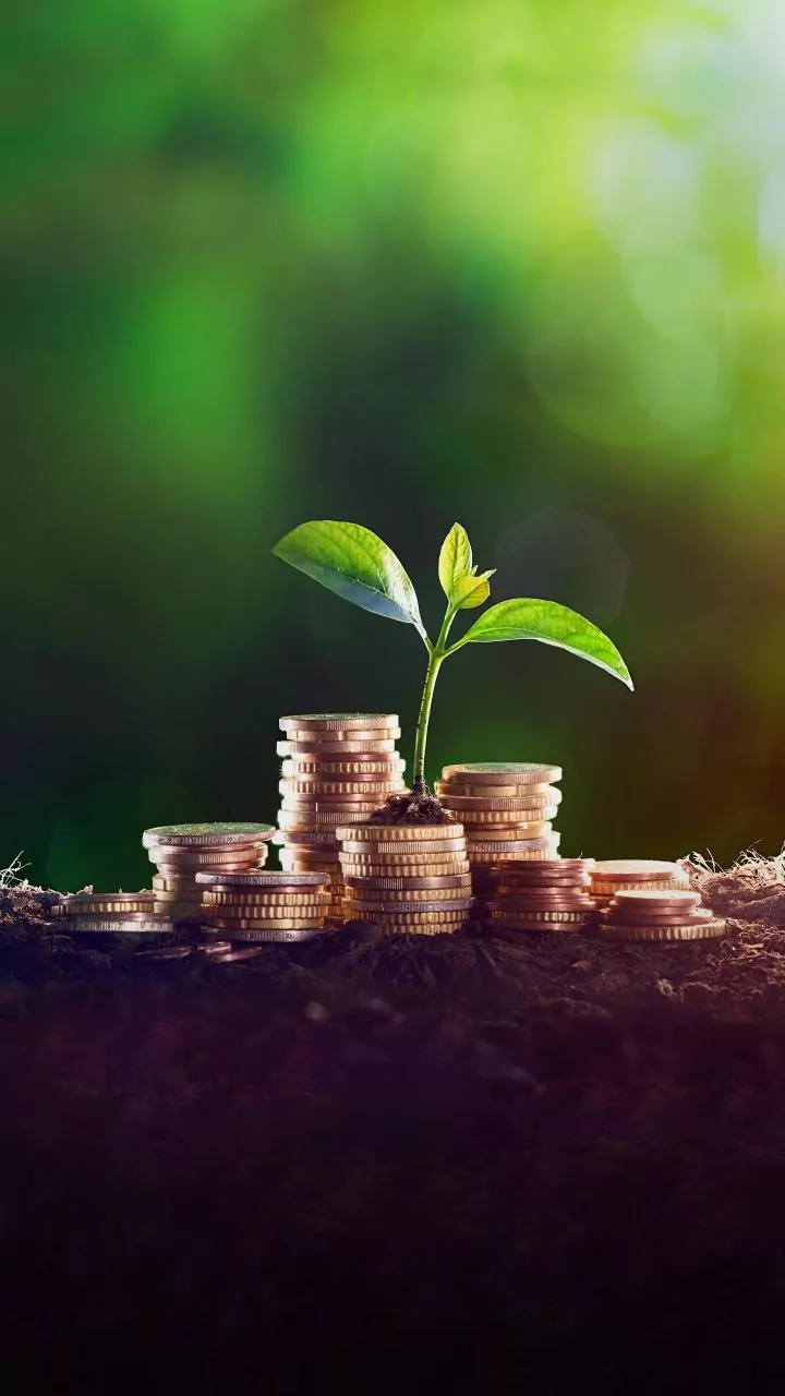 Unlock Value: Smart Market Tools & Investment Ideas