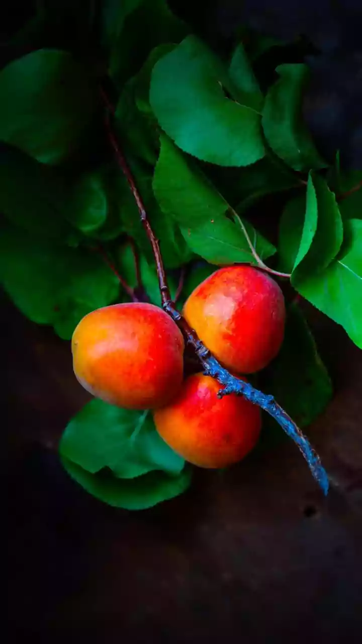 Why Delhi's Mango Festival Is Breaking Social Media Feeds
