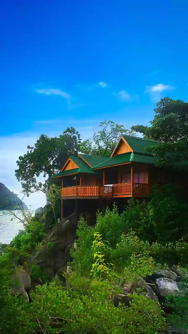 MP: Gandhi Sagar Forest Retreat emerges as India's new eco-tourism hub