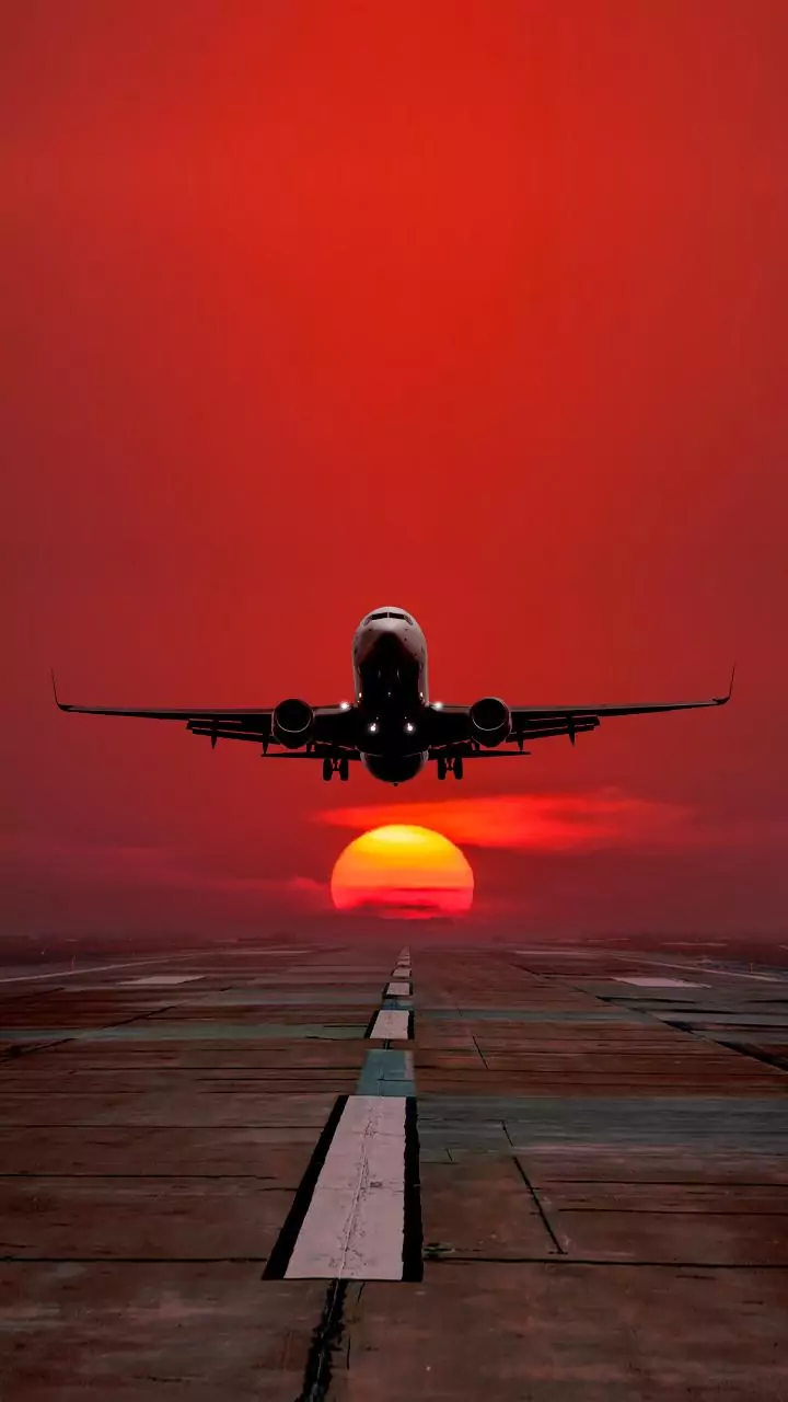 Delhi airport sees 79 flight cancellations due to dense fog